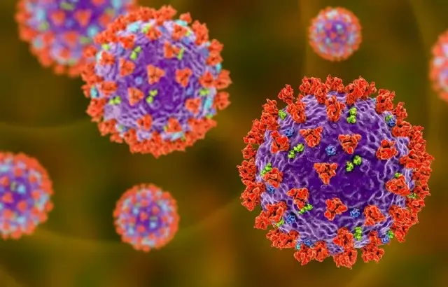 Eliminarea proteinei SPIKE, prevenirea cheagurilor de sânge și protejarea sănătății cardiovasculare: Strategii eficiente pentru o inimă sănătoasă