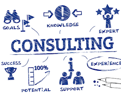Consulting business