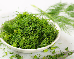 Chopped dill