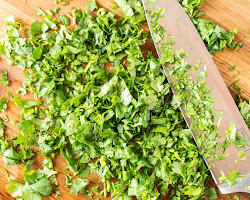 Chopped fresh coriander