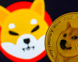 Shiba Inu meme coin