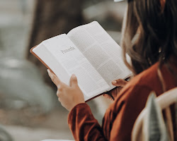 person reading a book